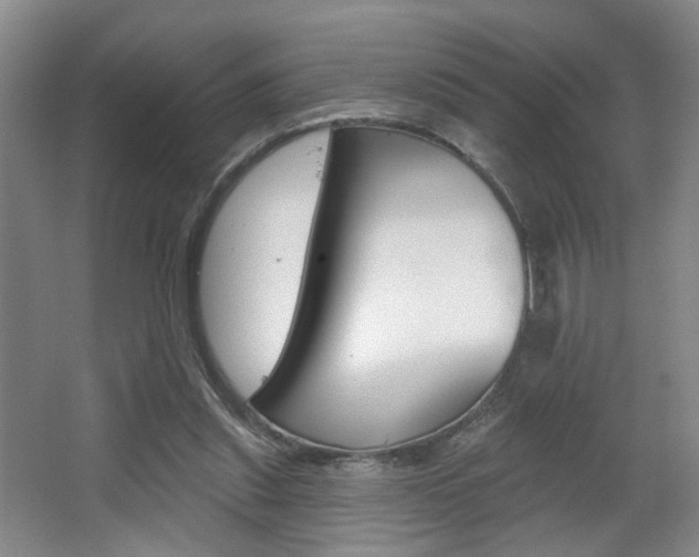 X0000067370253200603311002