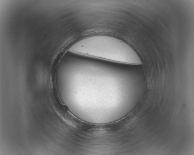 X0000067370254200603311002