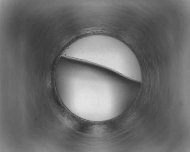 X0000067370255200603311002