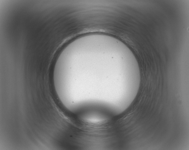 X0000067370256200603311002