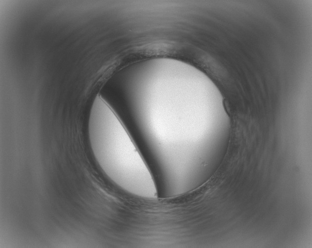 X0000067370258200603311002