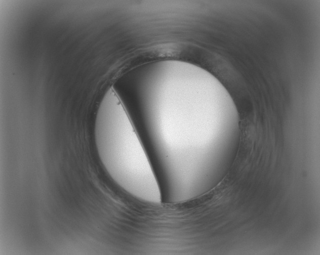 X0000067370262200603311002