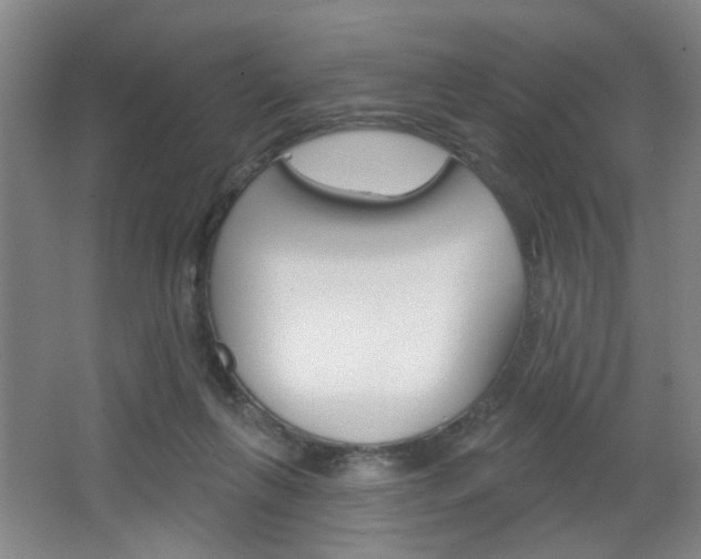 X0000067370263200603311002