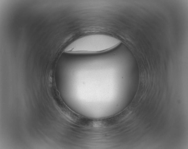 X0000067370264200603311002