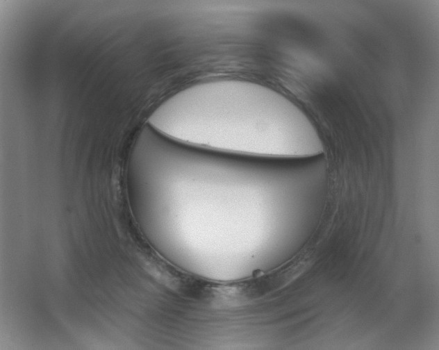 X0000067370265200603311002