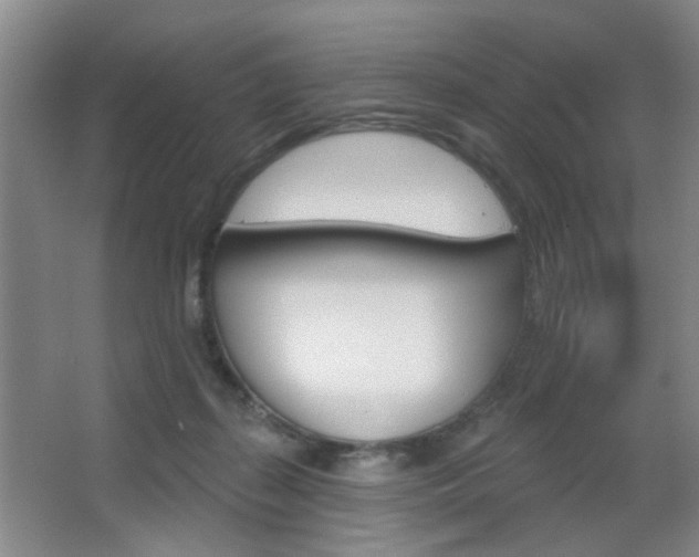 X0000067370267200603311002
