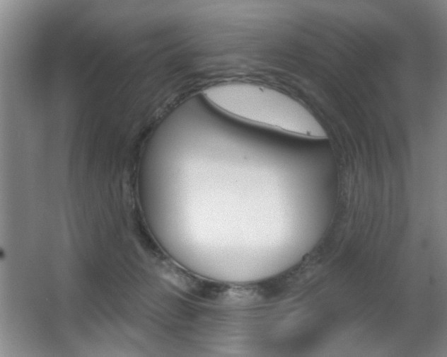 X0000067370270200603311002