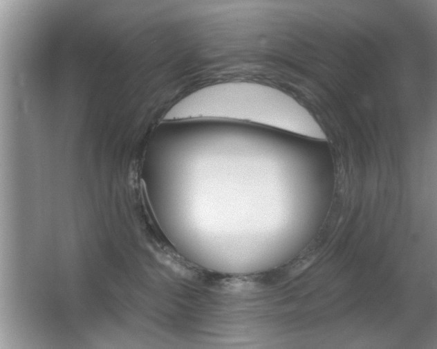 X0000067370284200603311002