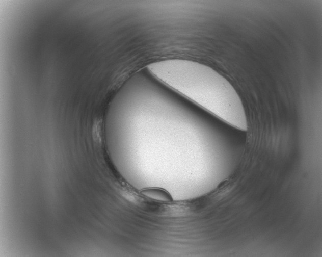X0000067370286200603311002