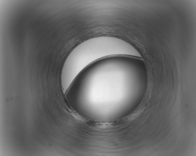 X0000067370288200603311002