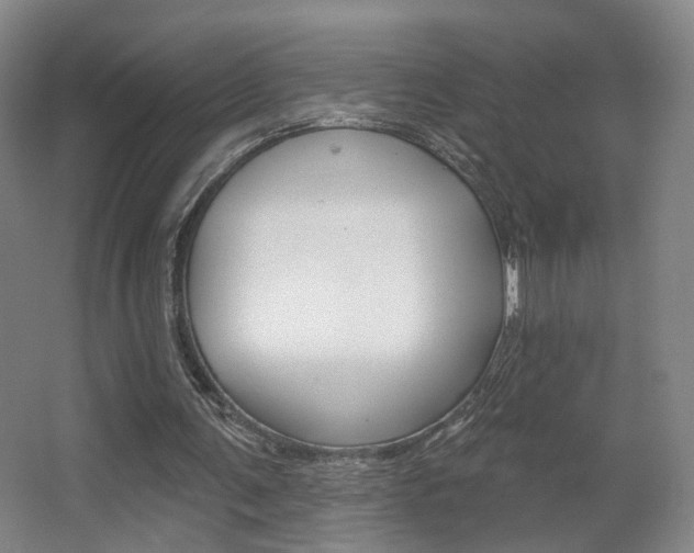 X0000067370291200603311001