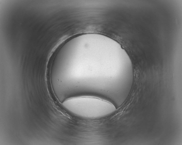 X0000067370292200603311001