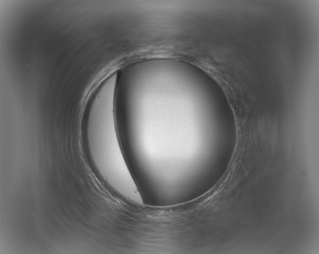 X0000067370293200603311001