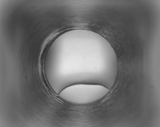 X0000067370294200603311001