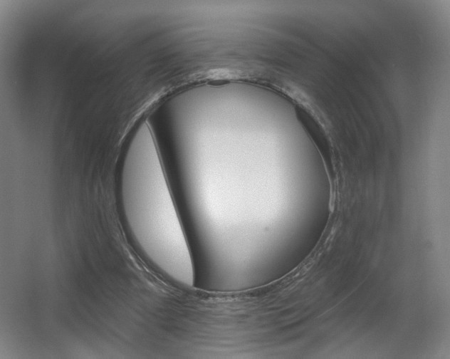X0000067370297200603311001
