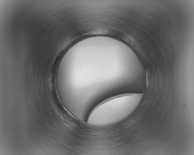 X0000067370300200603311001