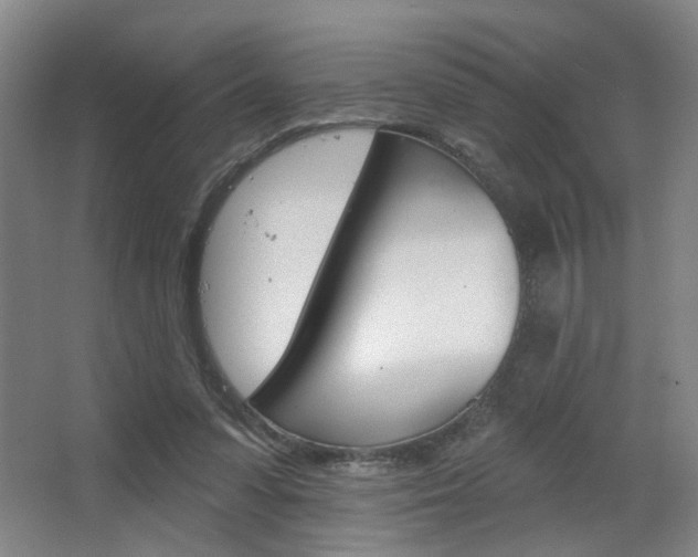 X0000067370303200603311001