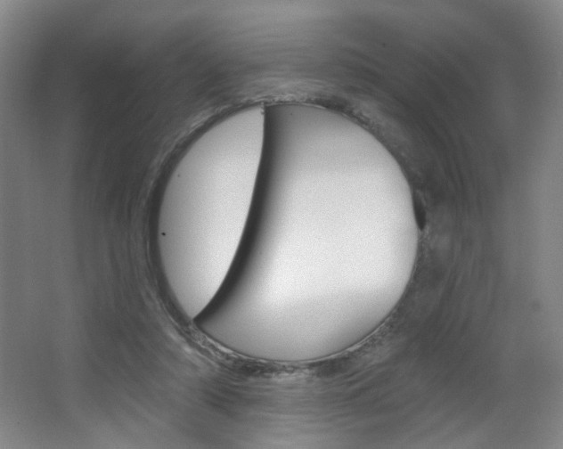 X0000067370306200603311001