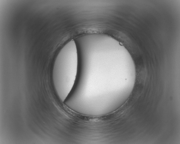 X0000067370310200603311001