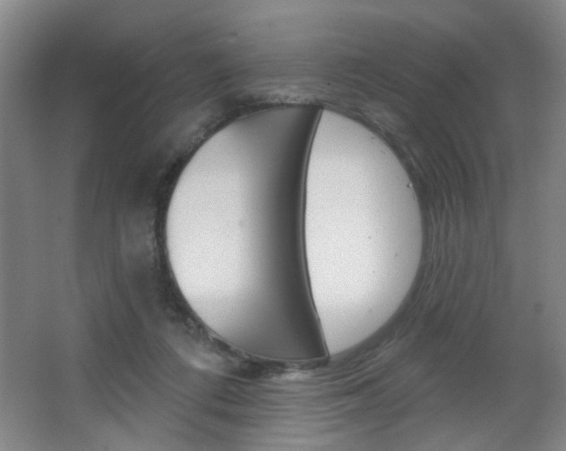 X0000067370312200603311001
