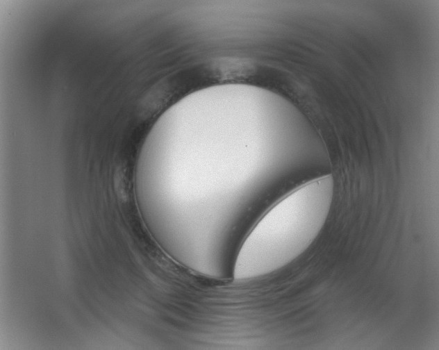 X0000067370316200603311001