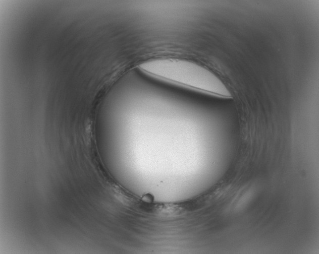 X0000067370321200603311001