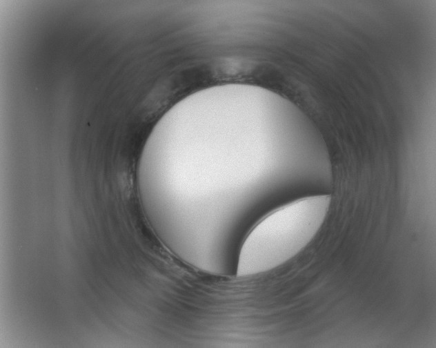 X0000067370324200603311001