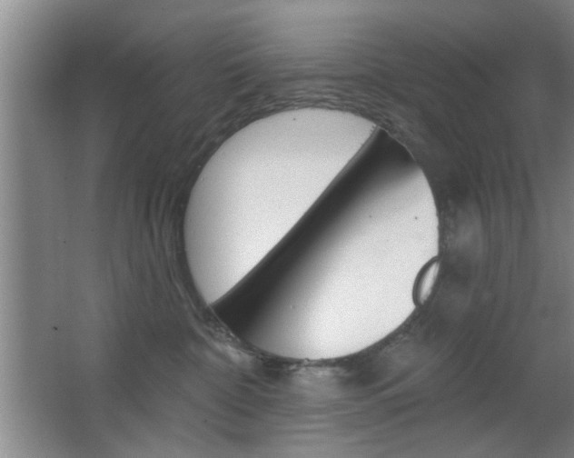 X0000067370332200603311001
