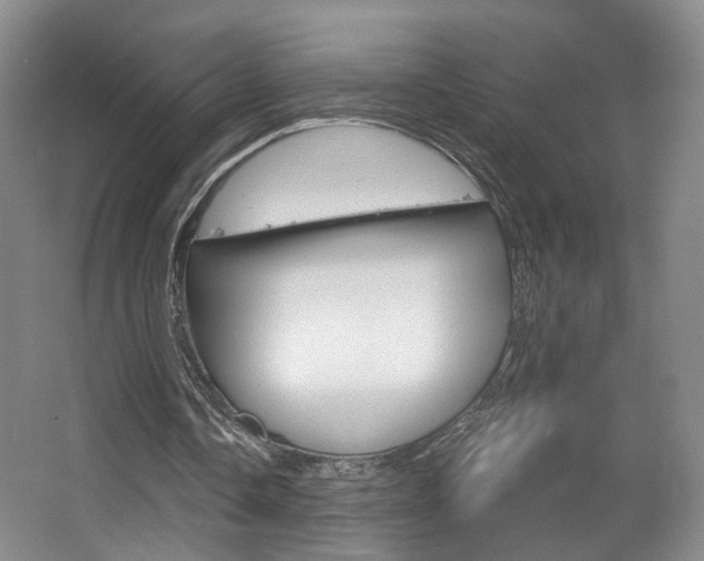 X0000067370338200603311000