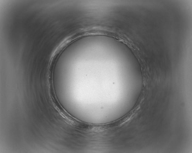X0000067370341200603311000