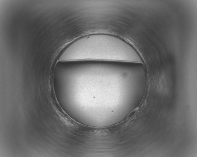 X0000067370345200603311000