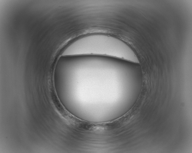 X0000067370352200603311000