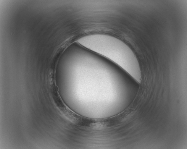 X0000067370356200603311000