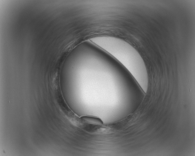 X0000067370364200603311000