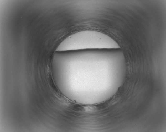 X0000067370371200603311000