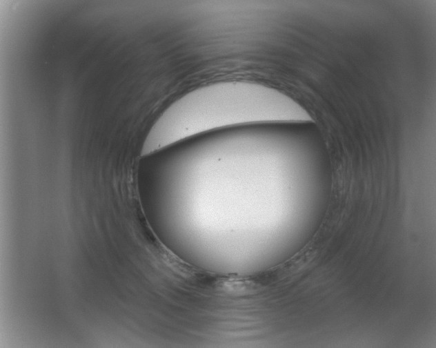 X0000067370372200603311001