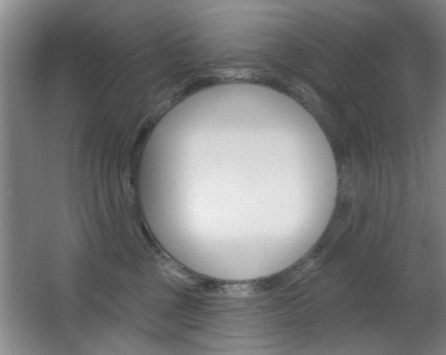 X0000067370377200603311001
