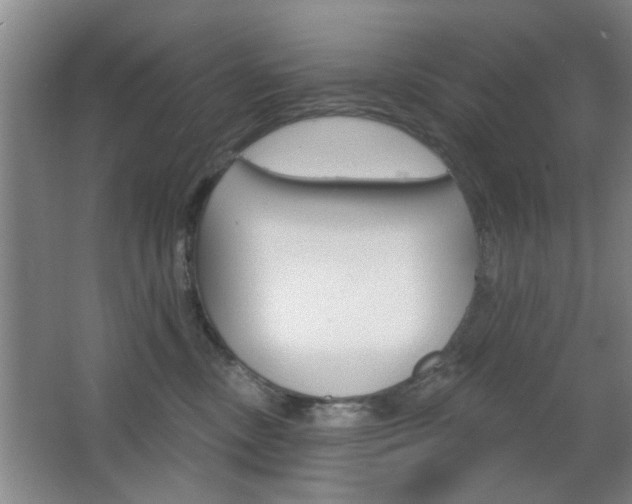 X0000067370378200603311001