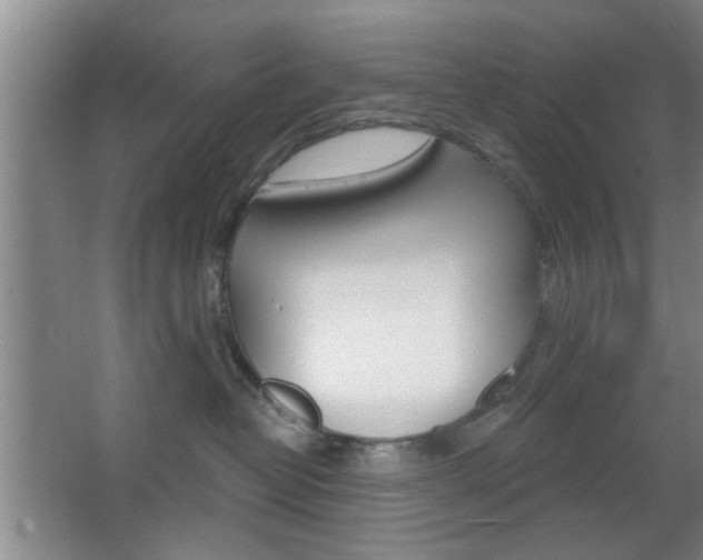 X0000067370382200603311001