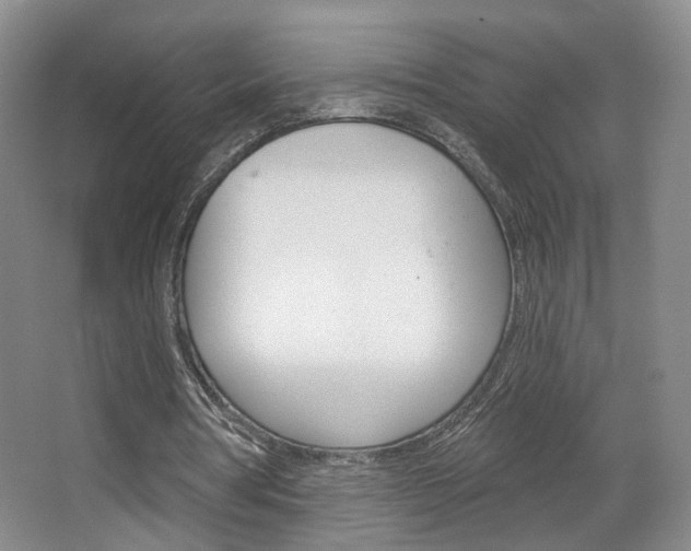 X0000067370386200603311000