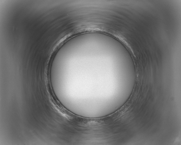 X0000067370390200603311000
