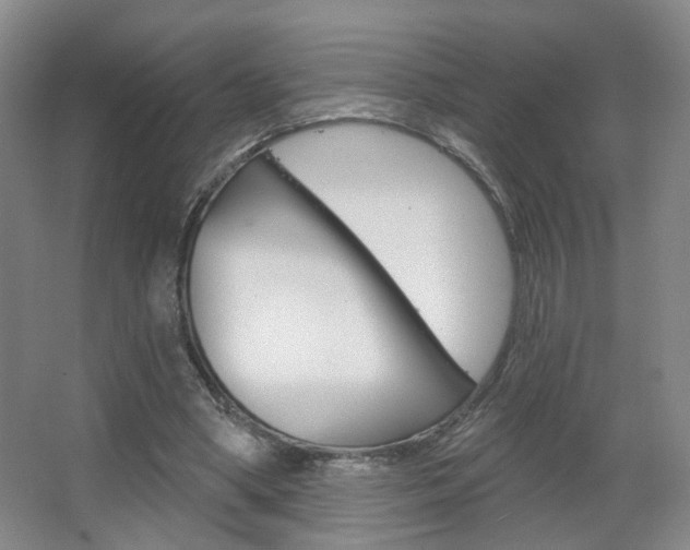 X0000067370394200603311000
