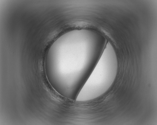 X0000067370403200603311000