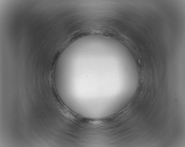 X0000067370409200603310959