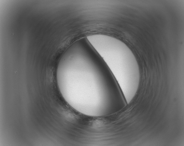 X0000067370412200603310959
