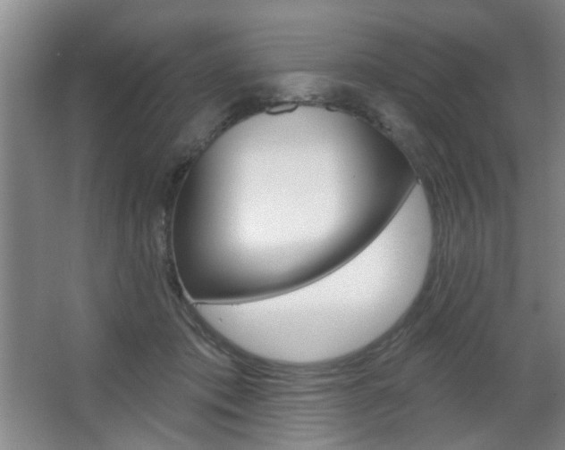 X0000067370413200603310959