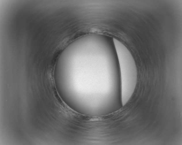 X0000067370415200603310959