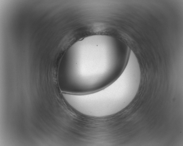X0000067370421200603310959