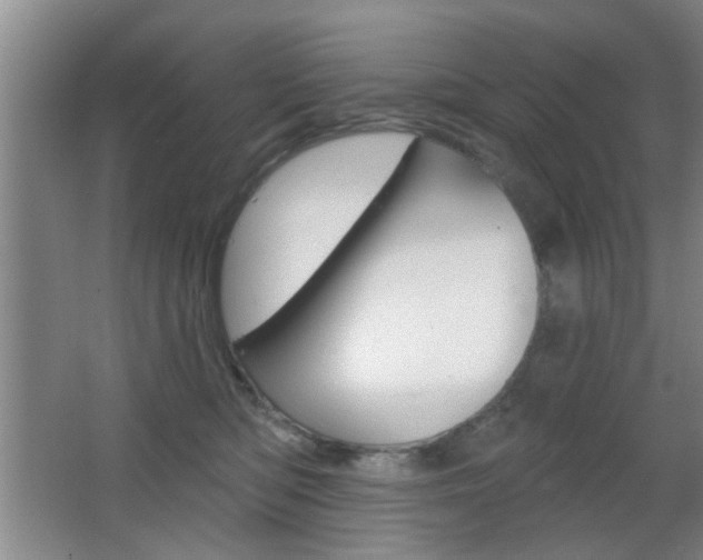 X0000067370422200603310959
