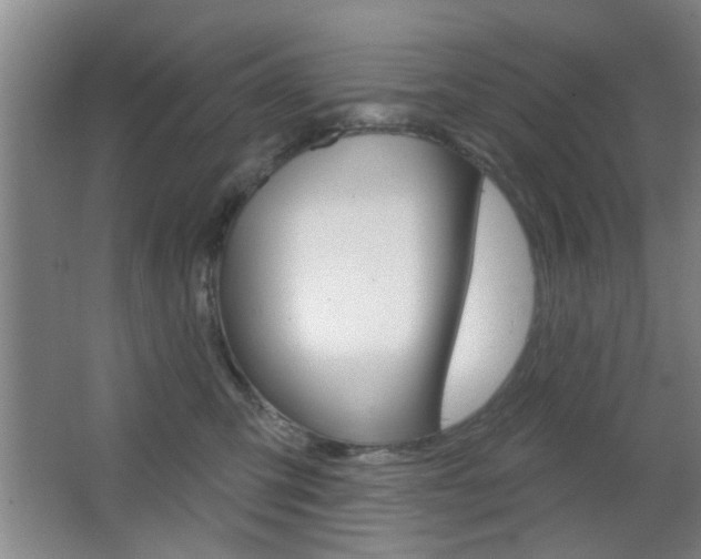 X0000067370423200603310959